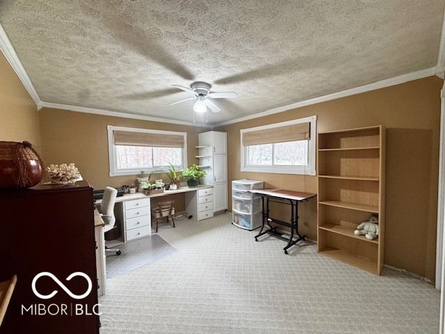 1301 N Maple Street, Veedersburg, IN 47987