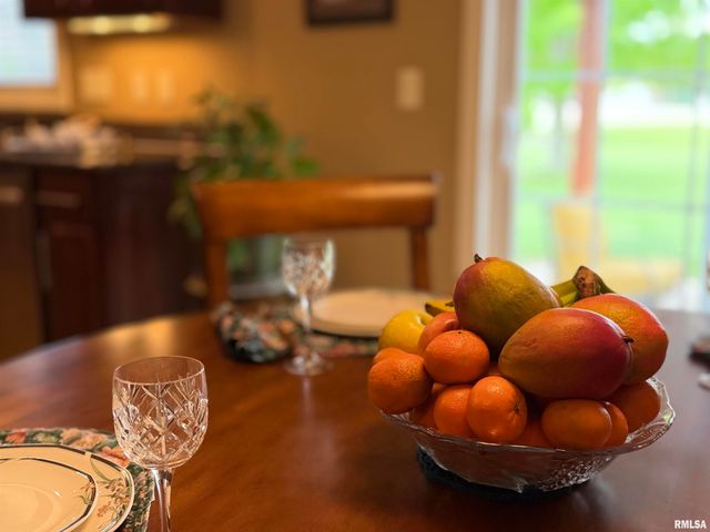 11003 N Moonstone Court, Dunlap, IL 61525