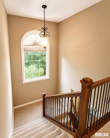 11003 N Moonstone Court, Dunlap, IL 61525