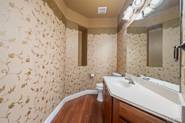 317 Lake Side View Lane, St Peters, MO 63376