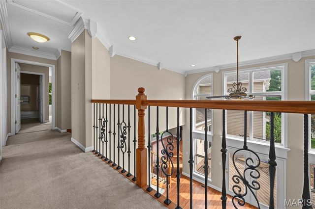317 Lake Side View Lane, St Peters, MO 63376