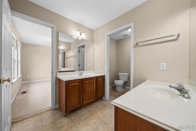 317 Lake Side View Lane, St Peters, MO 63376