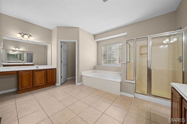 317 Lake Side View Lane, St Peters, MO 63376
