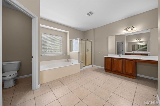 317 Lake Side View Lane, St Peters, MO 63376