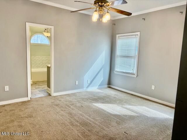 320 Woodrun Drive, Ridgeland, MS 39157