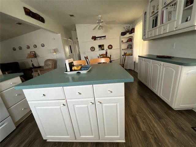 529 RAINBOW BOULEVARD, The Villages, FL 32159