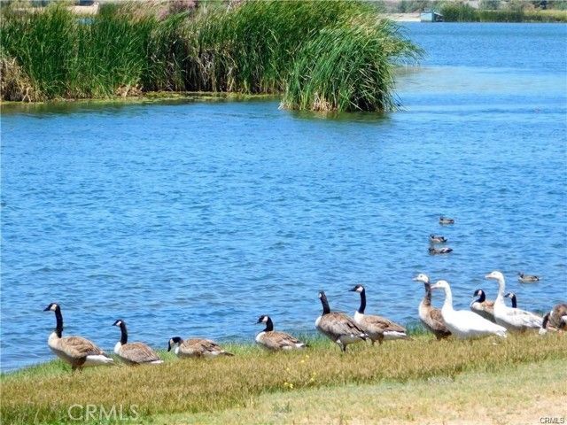 300 Flightline Way, Aguanga, CA 92536