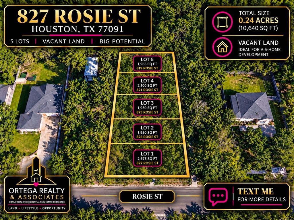 825 Rosie Street, Houston, TX 77091