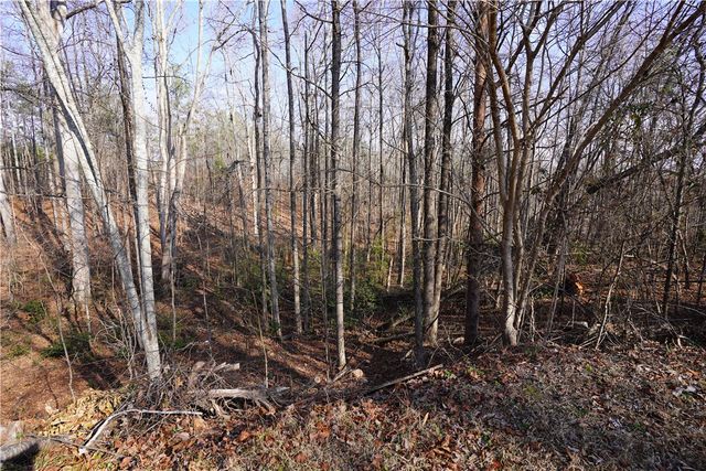 445 Brandy Lane, Pickens, SC 29671