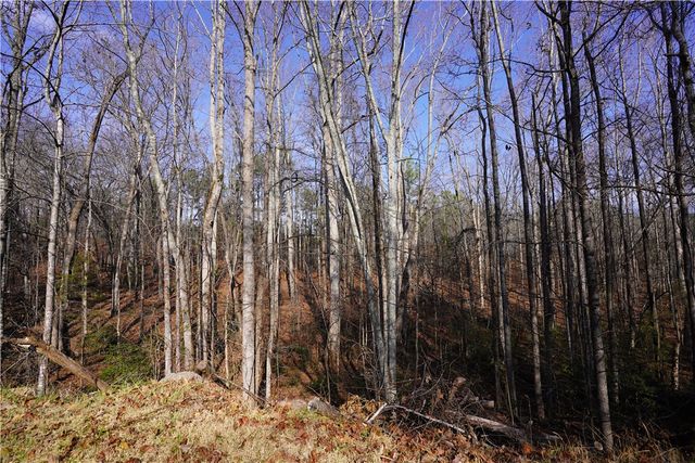 445 Brandy Lane, Pickens, SC 29671