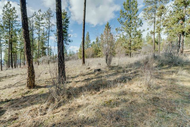 6XXX Stony Way, Nine Mile Falls, WA 99026