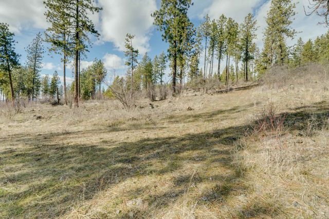 6XXX Stony Way, Nine Mile Falls, WA 99026