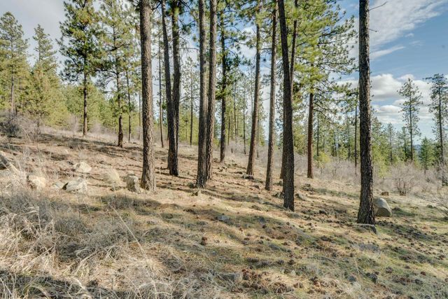 6XXX Stony Way, Nine Mile Falls, WA 99026