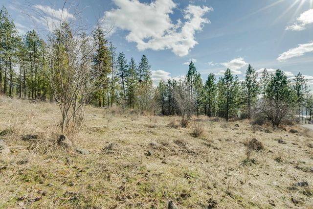 6XXX Stony Way, Nine Mile Falls, WA 99026