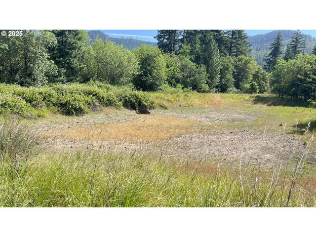 2157 FERGUSON Ln, Days Creek, OR 97429