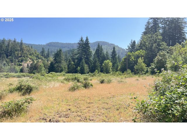 2157 FERGUSON Ln, Days Creek, OR 97429
