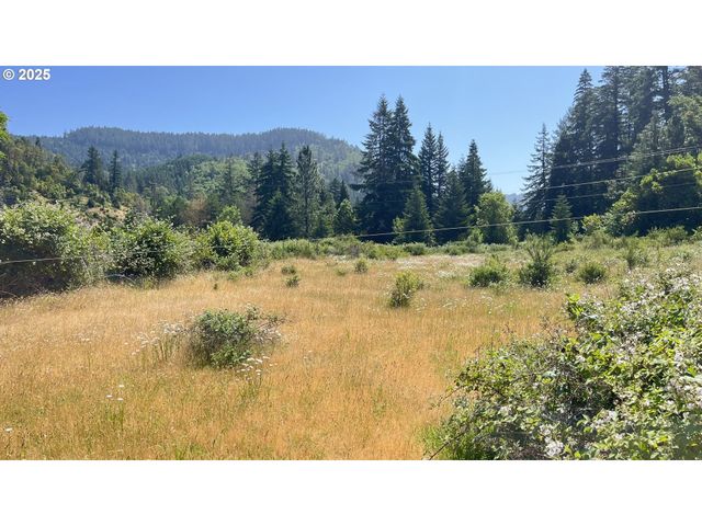 2157 FERGUSON Ln, Days Creek, OR 97429