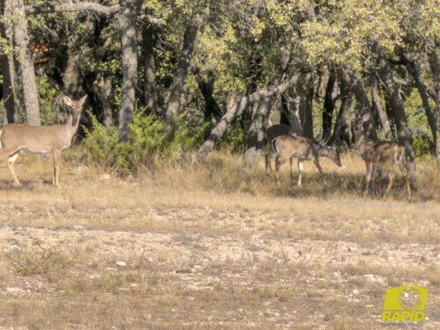 5373 Scenic Bluff Trail, Christoval, TX 76935