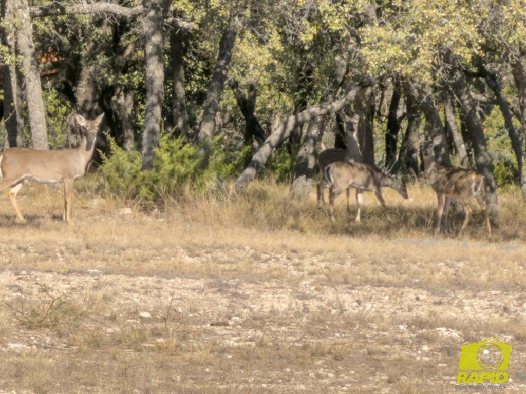 Image 46 of property listing at 5373 Scenic Bluff Trail, Christoval, TX 76935