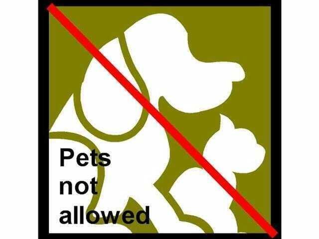 99 SE Mizner Boulevard 215, Boca Raton, FL 33432