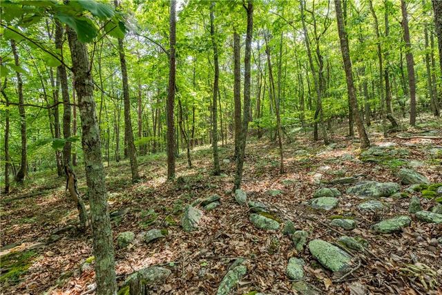 307 Stonehaven Court, Jasper, GA 30143