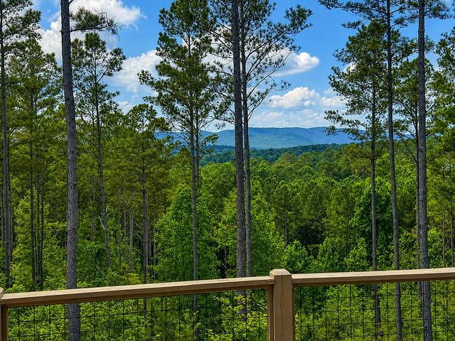 230 High River Landing, Ellijay, GA 30540