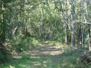 TBD La 19 Highway, Slaughter, LA 70777