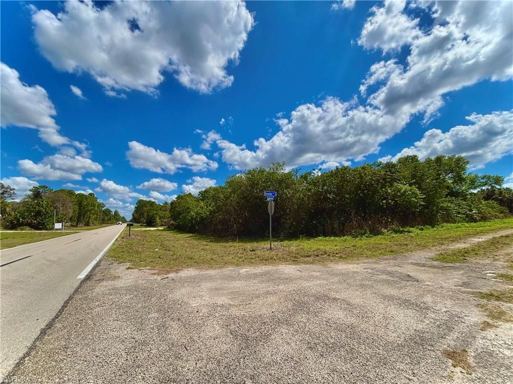 121 Dexter AVE S, LEHIGH ACRES, FL 33974 — photo 2