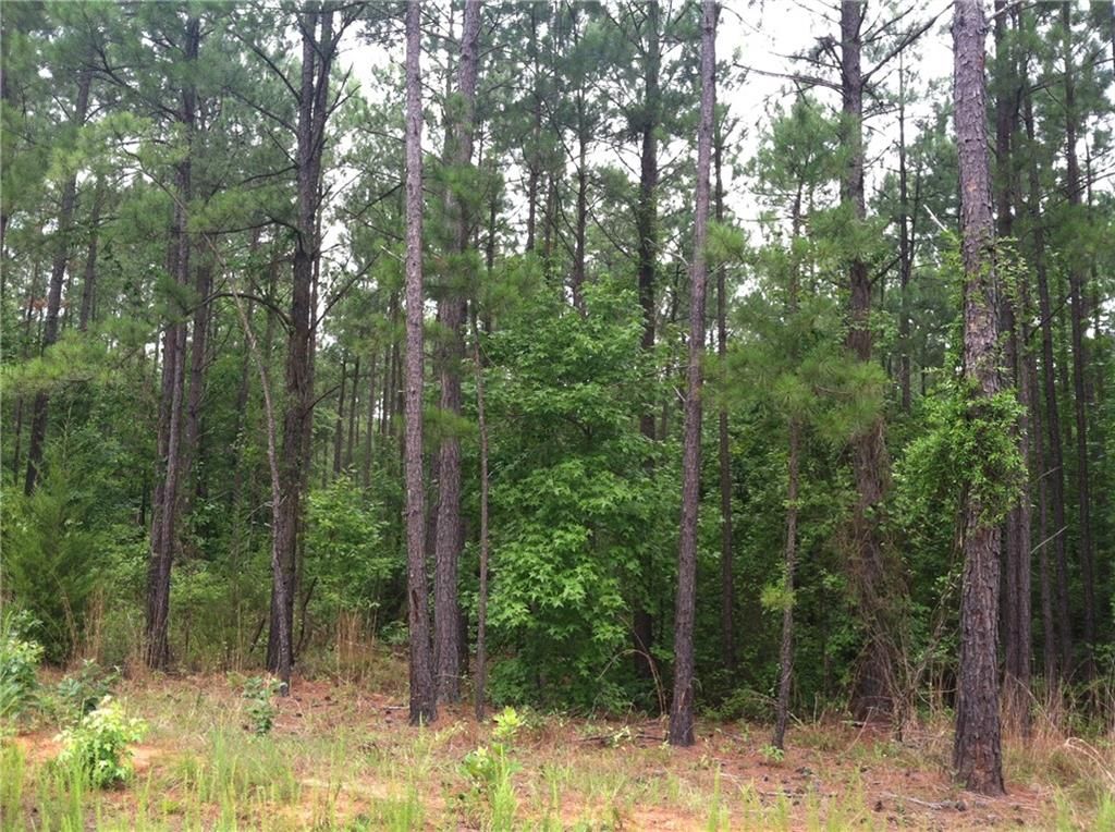 2272 Malta Drive, Conyers, GA 30012