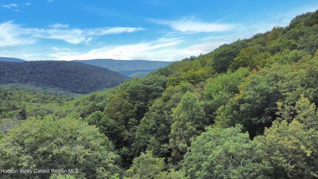 289 Red Falls Road, Prattsville, NY 12468