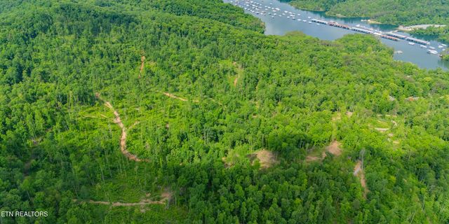 Lake Lane, New Tazewell, TN 37825