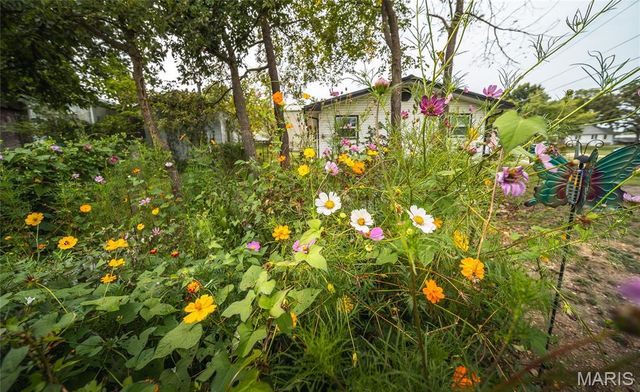 615 W 4th Street, Dixon, MO 65459