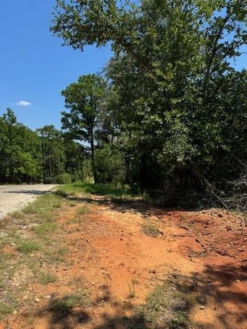 157 Lamaloa LN, Bastrop, TX 78602