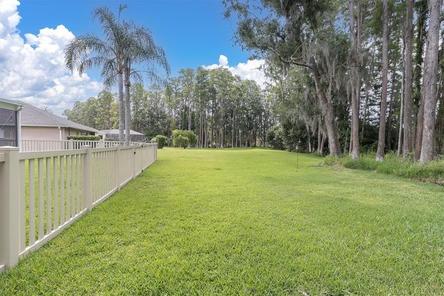 7832 BLUE SPRING DRIVE, Land O Lakes, FL 34637