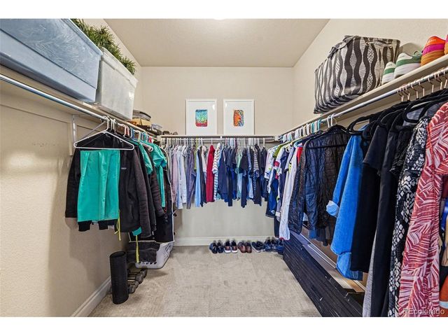 10197 Belvedere Ln, Lone Tree, CO 80124