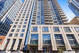 1305 S Michigan Avenue 1209, Chicago, IL 60605
