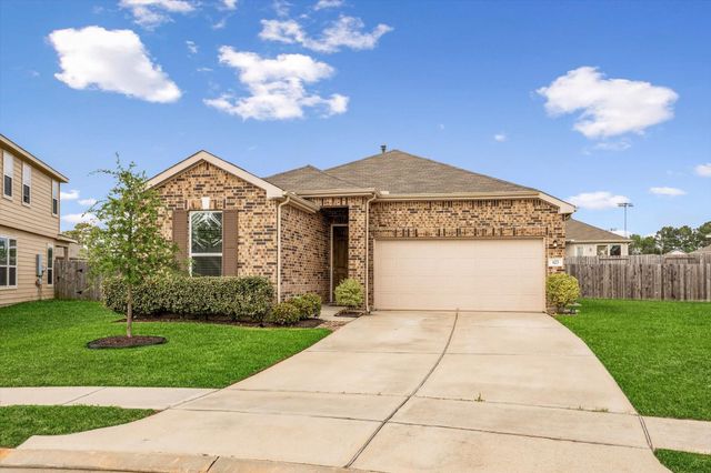 623 Coyote Canyon Court, Magnolia, TX 77354