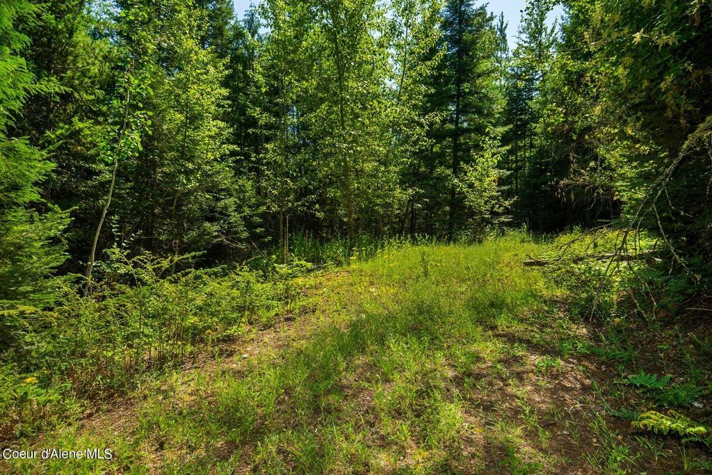 NKA Lower Pack River Rd, Sandpoint, ID 83864 photo 16