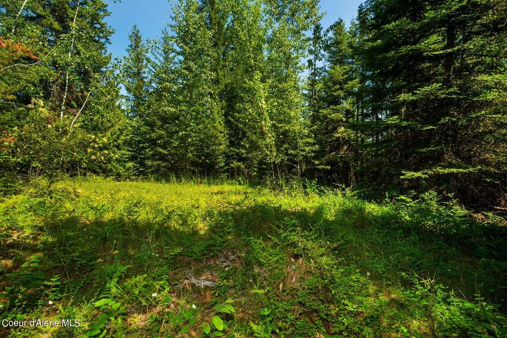 NKA Lower Pack River Rd, Sandpoint, ID 83864 photo 18