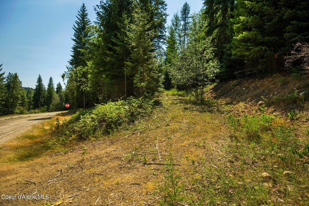 NKA Lower Pack River Rd, Sandpoint, ID 83864 photo 8