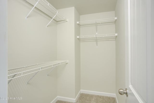 719 Jasmine Lane, Jacksonville, NC 28546