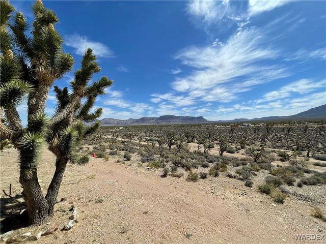 26196 N Tamarisk Street, Meadview, AZ 86444