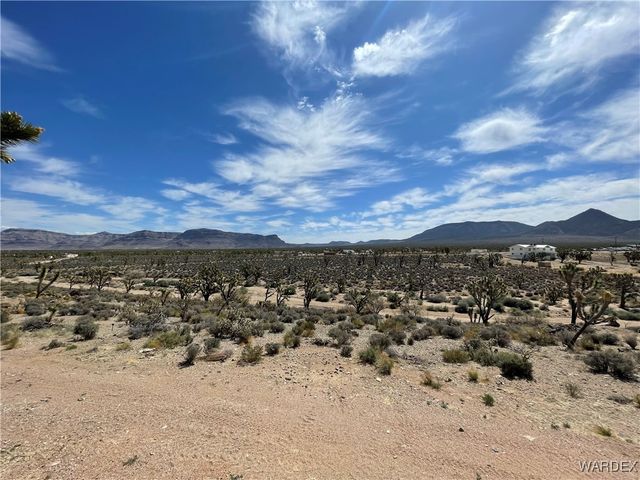 26196 N Tamarisk Street, Meadview, AZ 86444
