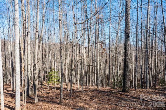 1306 Double KNob Drive, Arden, NC 28704