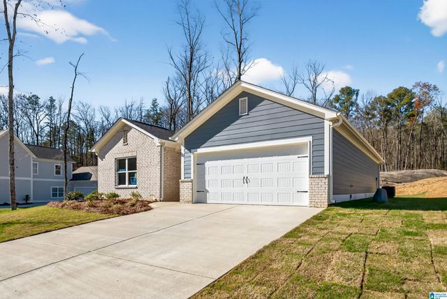 125 TOWNMOOR LANE, Sterrett, AL 35147