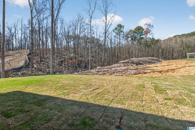 125 TOWNMOOR LANE, Sterrett, AL 35147