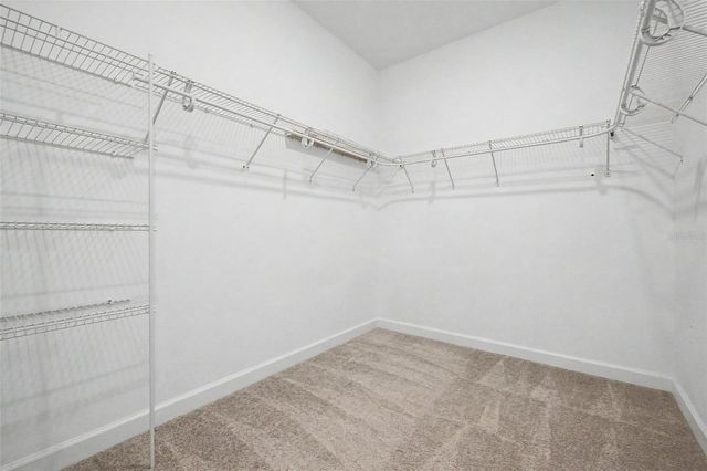 10460 GABLE DIG LOOP, San Antonio, FL 33576