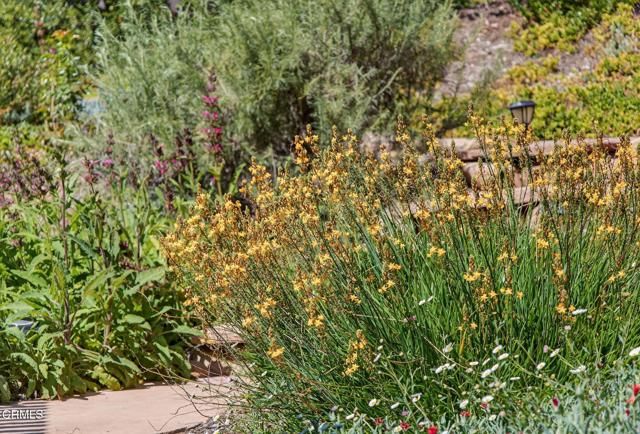 525 S Ventura Street, Ojai, CA 93023