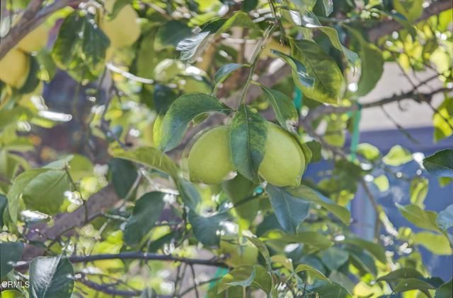 525 S Ventura Street, Ojai, CA 93023