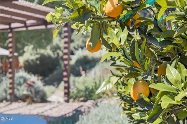 525 S Ventura Street, Ojai, CA 93023